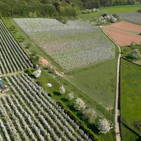 B&B - Eetcafe - Riekelt Gronsveld Exteriér fotografie